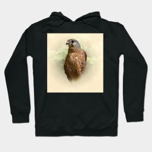 Kestrel Hoodie